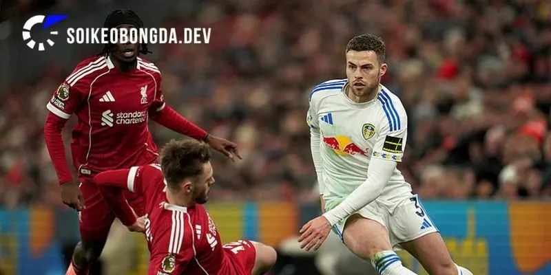 Chuyên gia soi kèo cho cuộc đối đầu Liverpool vs Leeds United