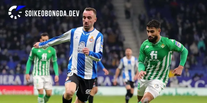 Chuyên sâu các kèo đấu trong trận Middlesbrough vs Espanyol